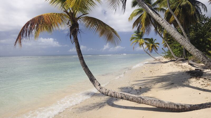 A tropical beach in Tobago