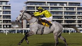 Eldorado Allen to lead select Tizzard team into festival action