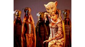 Behind the scenes with the kings of the musical jungle