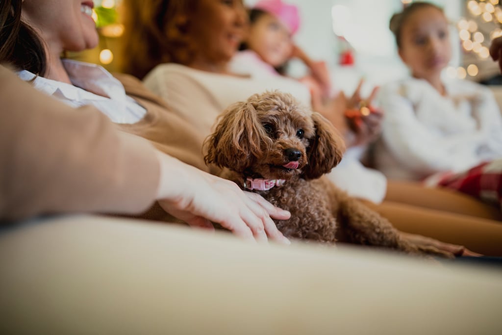 If you're bored with The Snowman and The Muppets, maybe it's time to try some of our family Christmas streaming picks