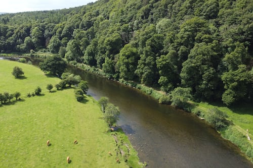 Former Inland Fisheries Ireland chief begins case at Workplace Relations Commission