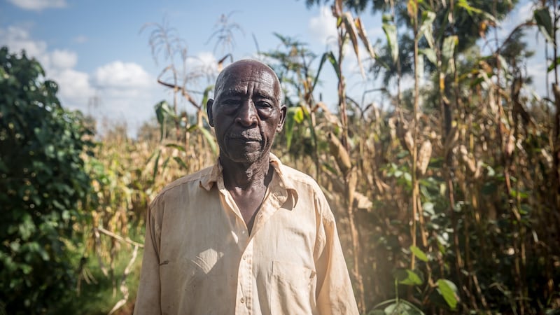 Stephen Kibewaweru (82): the last locust outbreak he can remember was in 1948, when he was a child. Photograph: Sally Hayden