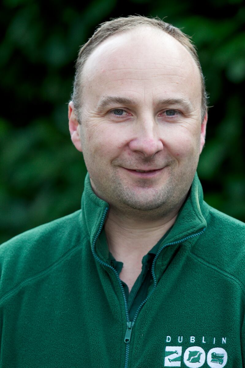 Eddie O'Brien, Dublin Zoo