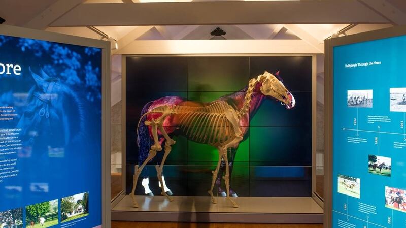 The skeleton of multiple horseracing champion sire Sadler’s Wells,  on display at the Fethard Horse Country Experience in Co Tipperary