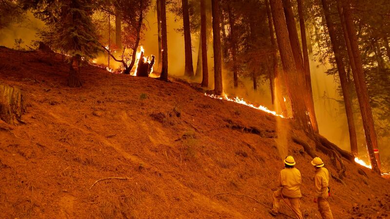 Firefighters spray water on the Dixie Fire in Plumas County. Photograph: John G Mabanglo/EPA