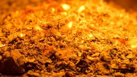 Cinders for a good girl? A traumatic event my mother never forgot