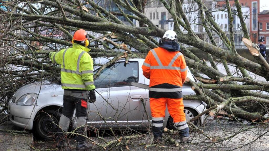 Council workers and tree surgeons remove a fallen tree on Pope’s Quay in Cork city centre which badly damaged two unoccupied parked cars. Photograph: Daragh Mc Sweeney/Provision