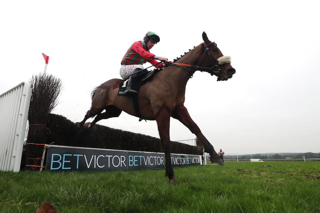 The prospect of Good Time Jonny in the spotlight come 5.15pm on Monday will have various authorities shifting in their seats. Photograph: Bryan Keane/Inpho