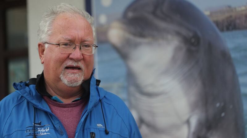 Dr Kevin Flannery, marine biologist and director of Dingle Oceanworld, is hopeful the dolphin is still alive. Photograph: Niall Carson/ PA Wire