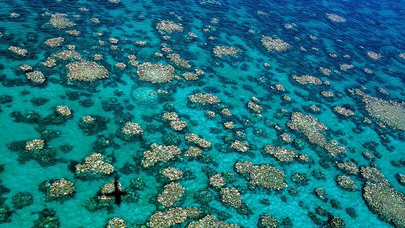 An aerial view of bleaching on the Great Barrier Reef. Photograph:  AFP/ARC Centre/Ed Roberts