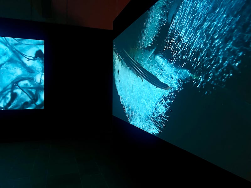Clare Langan, Earthbound, at Centre Culturel Irlandais