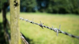 ‘Total attitude change’ needed around land access for walkers in Ireland