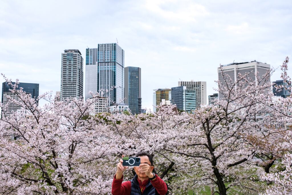 'The sorrowful camera draws me into a relationship with a hidden presence in the world.' Photograph: Philip Fong/AFP/Getty