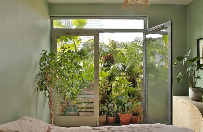 Jungle balcony from bedroom