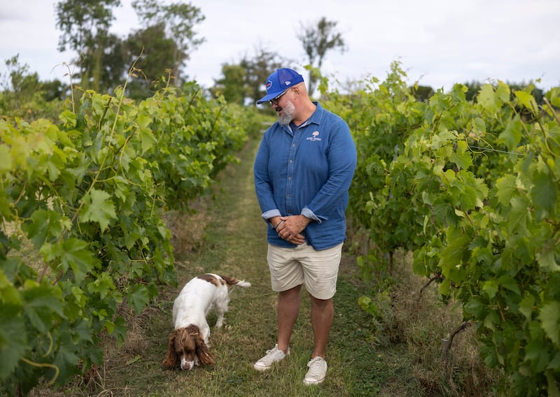 Bertrand Laclie and his dog Whiskey: 'It’s a blank page. When I ask questions to anybody, Irish Department of Agriculture or anybody, nobody knows.' Photograph: Chris Maddaloni
