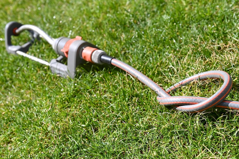 People have been advised to use a watering can instead of a hose or sprinkler when watering plants. Photograph: Dirk Waem/AFP via Getty Images