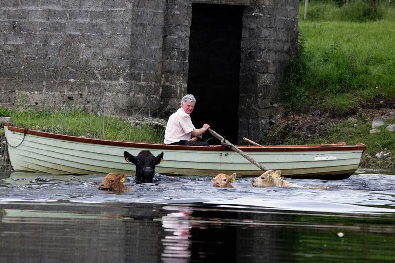 MULTIMEDIA: Mark Condren, Mediahuis Ireland – 'Mooving': The story of a farmer moving his cows across the River Shannon
