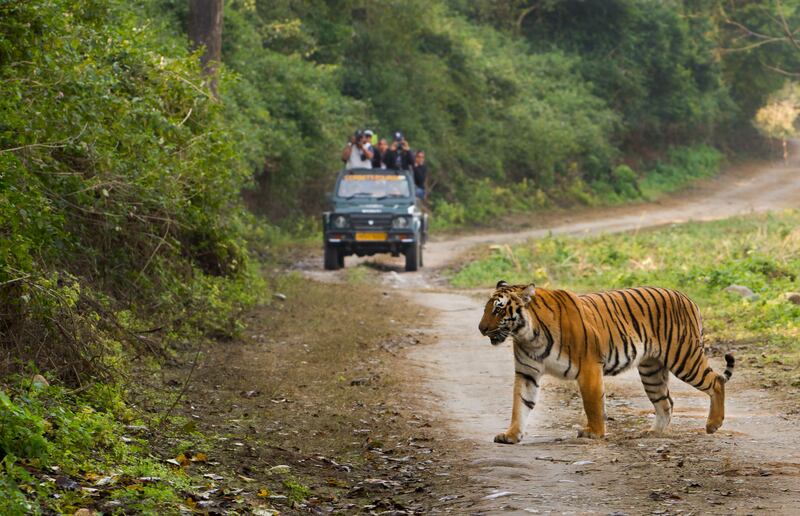 Discover incredible experiences on a guided group holiday