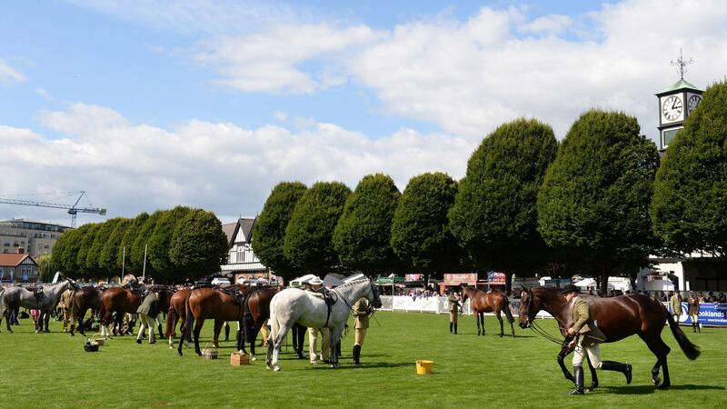 Small Hunters Class 20 judging at the opening day of the Dublin Horse Show. Photograph: Dara Mac Dónaill