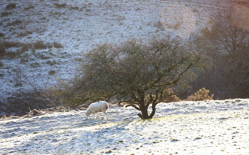 The chilly weather is typical for this time of year, the national forecaster said. Photograph: Bryan O’Brien/ The Irish Times 
