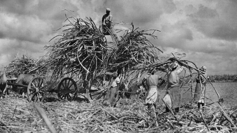 Washington Black is an epic historical novel which opens in the 1830s, on a sugar plantation in Barbados. Photograph:  Fox Photos/Getty