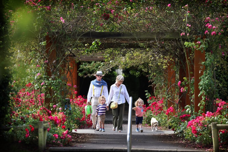 Rossa and Barbara Bunworth with their grandchildren Ben and Max, age 2, along with dog Cherry, walking in St Anne’s Rose Garden, in Clontarf, Dublin. Photograph: Dara Mac Dónaill