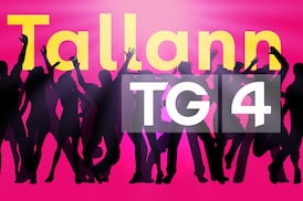 TG4 sa tóir ar intéirnigh nua don bhliain seo chugainn