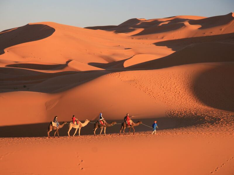 Camel trek in the Sahara Desert