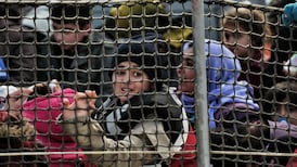 Legal group that aids child immigrants to set up Irish pilot