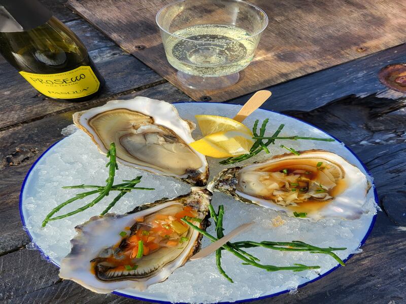Dressed oysters with views of the sea at East Pier, Dunmore East