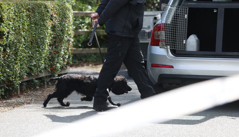 A dog handler and search dog pictured on site in Dublin. Photograph: Bryan O’Brien/The Irish Times