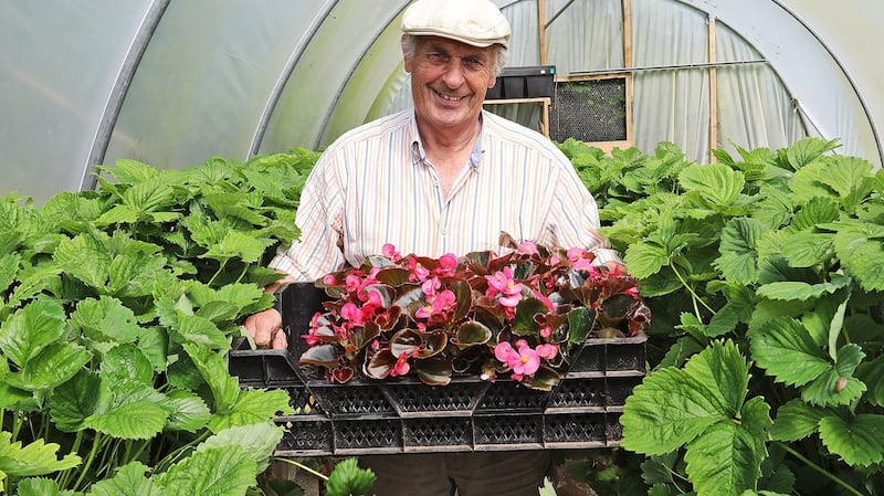 Gardener Jim Mohan at the Tyrone Guthrie Centre. Photograph: Lorraine Teevan, Tyrone Guthrie Centre