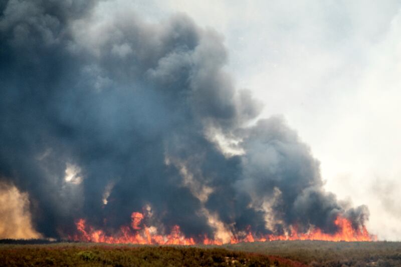 The Gifford Fire burning in Los Padres National Forest (Noah Berger/AP)