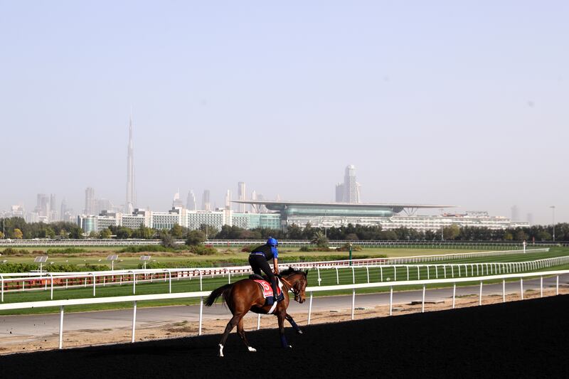 Morning track work in advance of the Dubai World Cup at Meydan Racecourse in Dubai, United Arab Emirates. Photograph: Getty Images