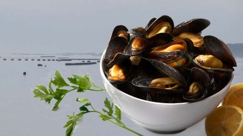 Mussels from Roaring Water Bay