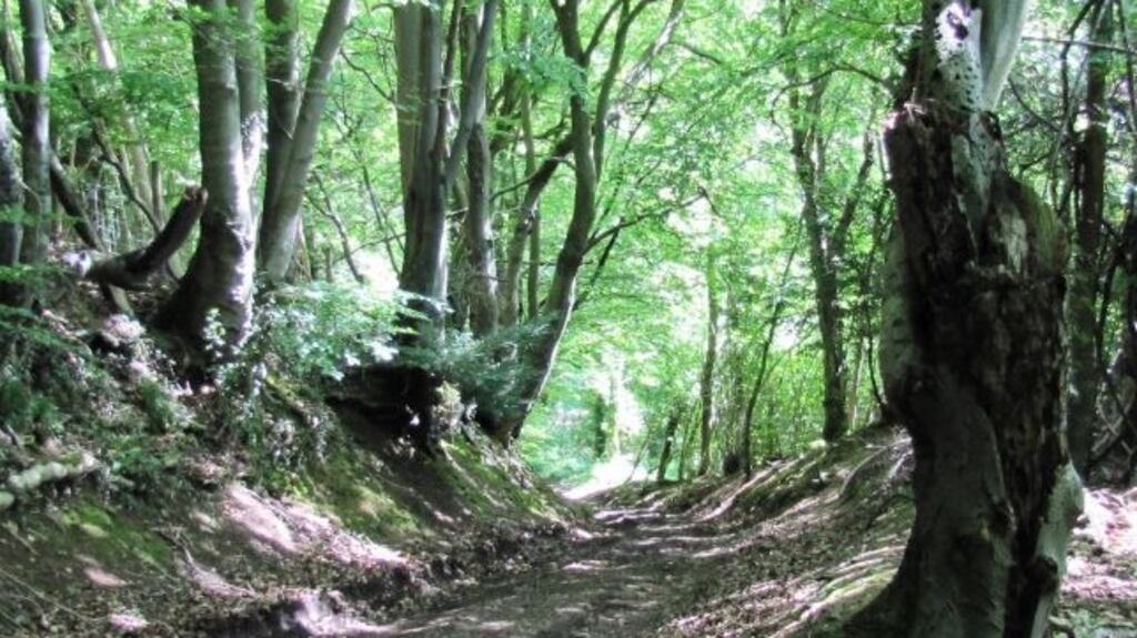 ‘In the Cotswolds we walked on through the limp rain that whimpered and spat for a while until it bored even itself and dried up’