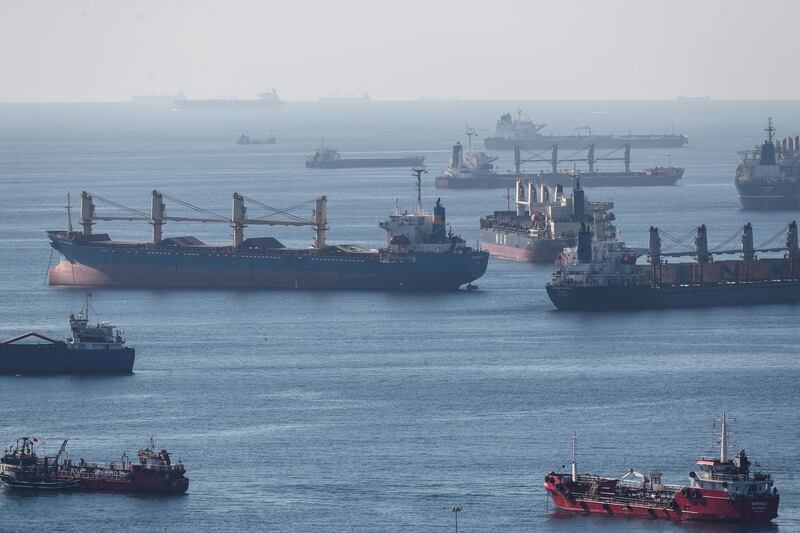 Cargo ships carrying Ukraine grain are anchored as they wait in line for the inspection on the Marmara sea, Turkey. Photograph: Erdem Sahin/EPA-EFE
