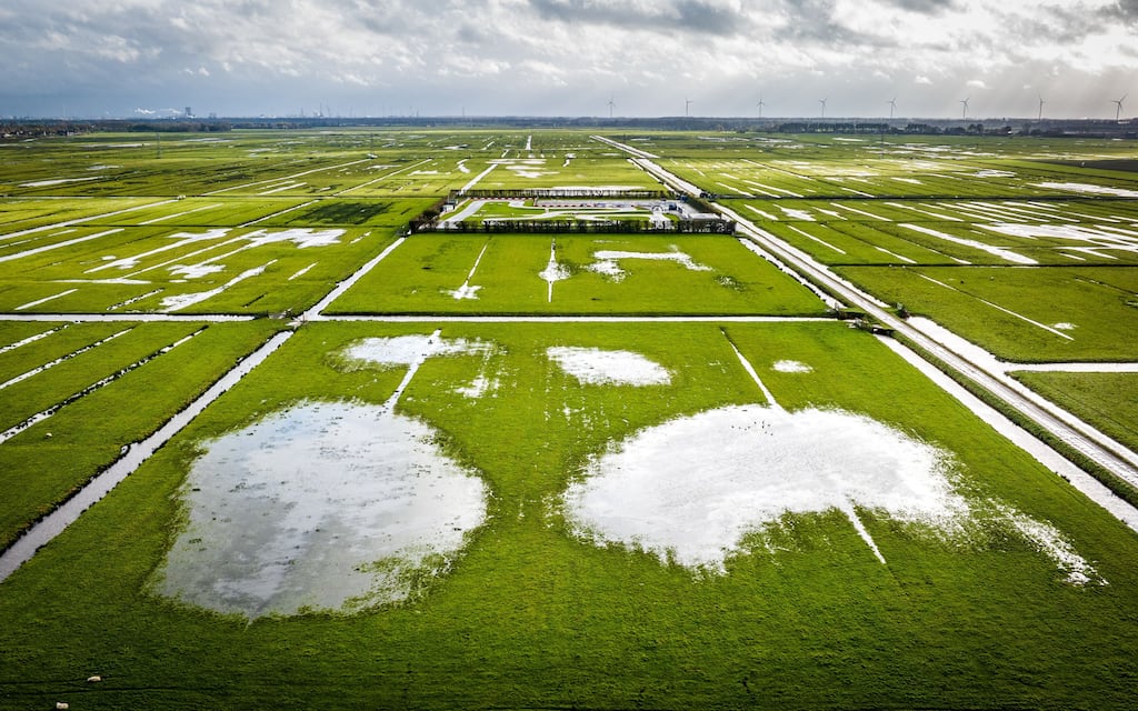 Flooded meadows due to heavy rainfall in Strijen in 2023. Photograph: Jeffrey Groeneweg/ANP/AFP via Getty