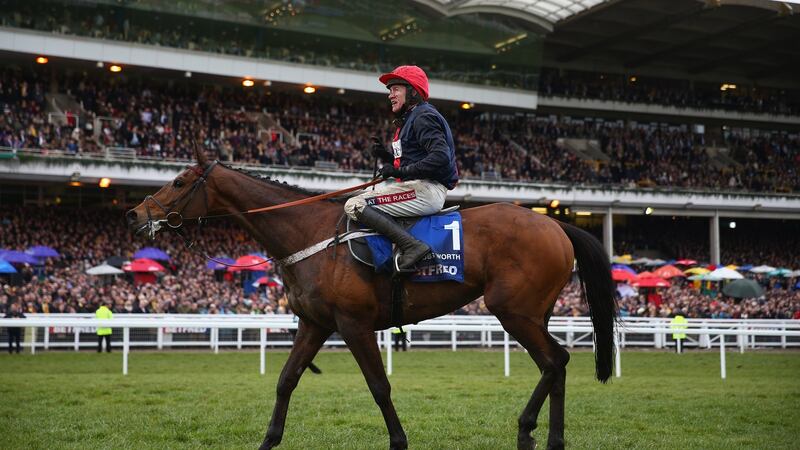 Barry Geraghty on board Bobs Worth after victory in the Cheltenham Gold Cup on March 15th, 2013. Photograph: Michael Steele/Getty Images