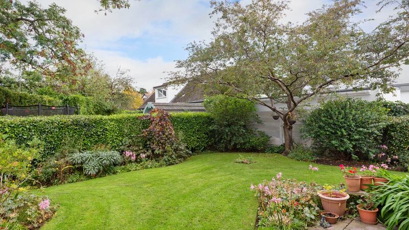 Back garden