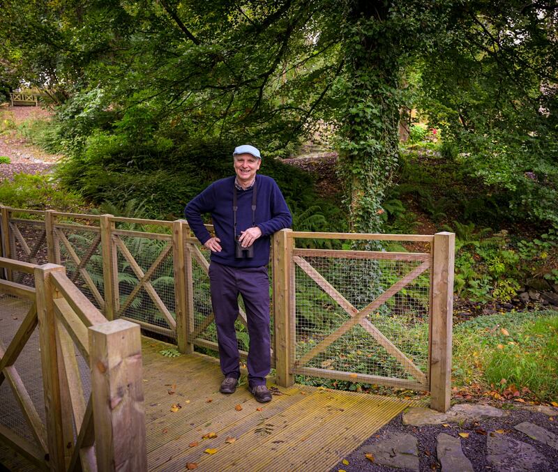 Paul Clements: 'Visited by many, loved by all, the beech tree was an ecological megalopolis'. Photograph: Trevor Ferris