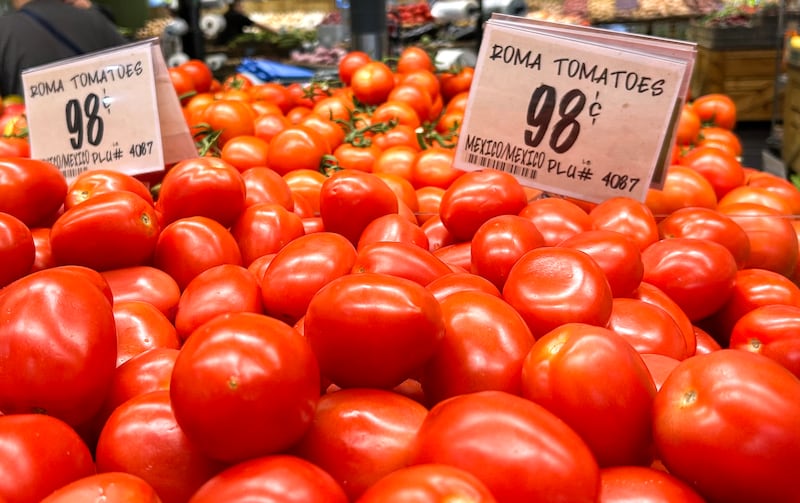 The US is imposing a 17% tariff on most tomatoes imported from Mexico with immediate effect, the government said. Photograph: Ronaldo Schemidt/ AFP/ Getty Images          