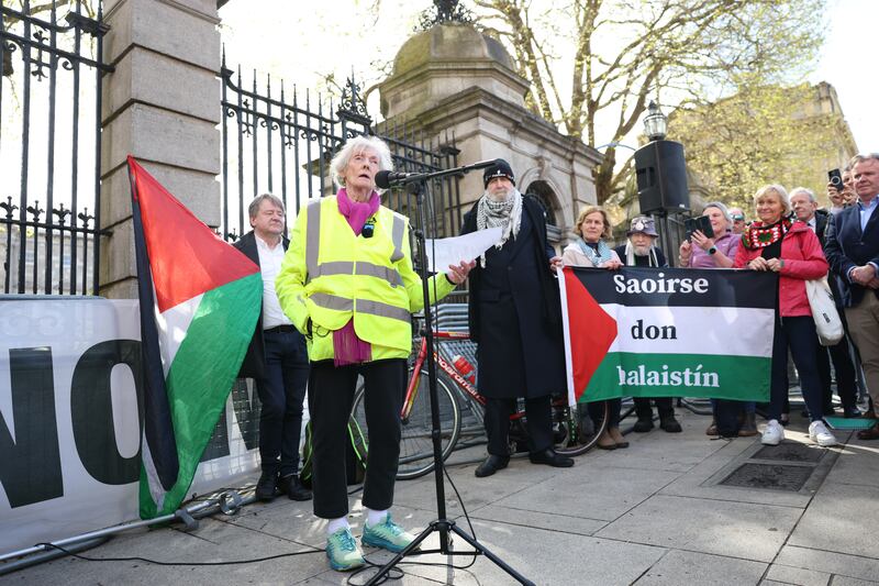 Lelia Doolan addresses supporters on Kildare Street on Wednesday. Photograph: Enda O'Dowd