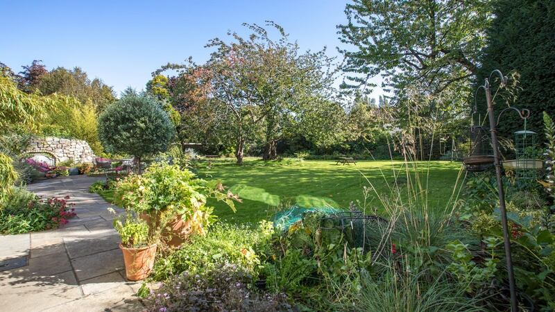 Rectangle-shaped, the garden has high evergreens, a venerable cherry tree, ivy, bamboo, lavender and hydrangea. There is also a patio and garden shed.