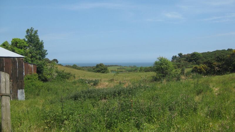 The Wexford site in summer