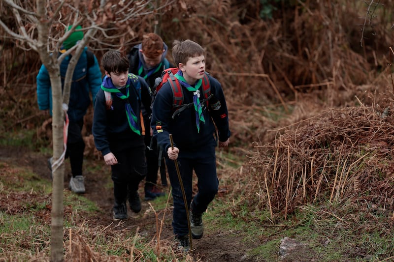 Scouts from across Leinster took part in last Saturday's tree-planting at Lough Dan, Co Wicklow, planting native species including oak, birch, rowan and cherry. Photograph: Nick Bradshaw