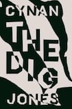 The Dig