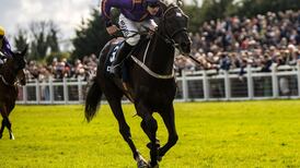 Bittersweet day for Mullins as Easy Game wins but Blackbow suffers fatal fall