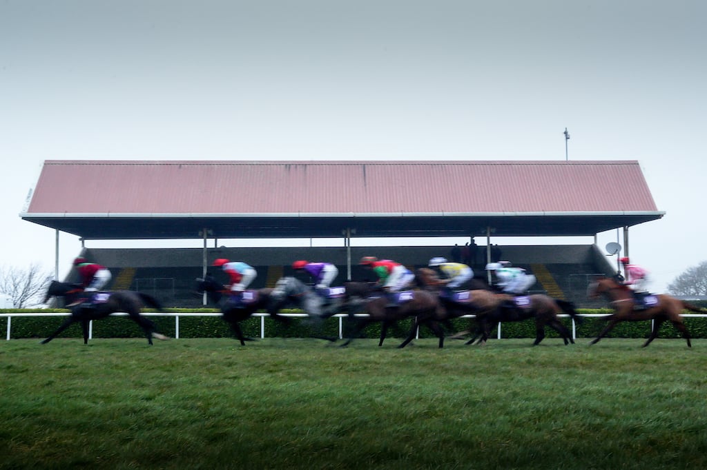 Stewards at Wexford reviewed the unseating but took no further action. Photograph: Laszlo Geczo/Inpho