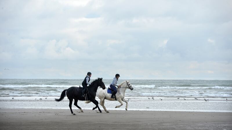 Beach in Laytown, Co. Meath. Photograph: Dara Mac Dónaill